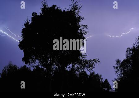 Fulmine su un cielo blu scuro sulla foresta silhouette. Foto Stock