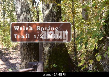 Cartello all'inizio del Welch Spring Trail, che conduce alle rovine dell'ospedale e della sorgente di Welch, sull'attuale fiume, vicino a Jadwin, Missouri, USA. Foto Stock