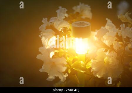 Luci da giardino con batteria solare. Closeup shot Foto Stock