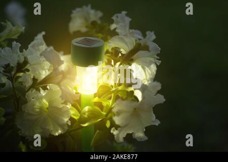 Luci da giardino con batteria solare. Closeup shot Foto Stock