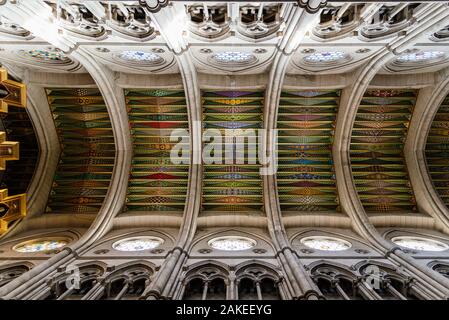 Madrid, Spagna - 1 Novembre 2019: Cattedrale di Almudena, Santa Maria la Real de La Almudena. Direttamente sotto vista di volte della navata principale. Foto Stock