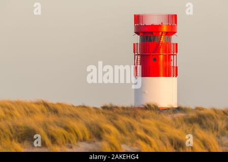 Rosso Bianco faro di Helgoland Duene isola nella luce del sole serale, prateria Foto Stock