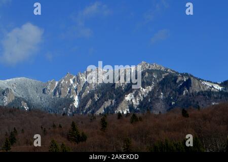 CIUCAS montagne e foreste di conifere vicino case nella stagione invernale Foto Stock