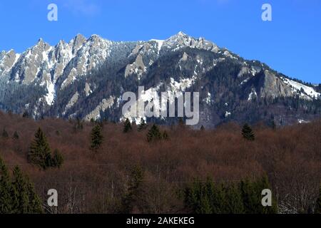 CIUCAS montagne e foreste di conifere vicino case nella stagione invernale Foto Stock