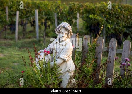 Saint Emilion, Francia - 12 settembre 2018:la statua di un ragazzo tenendo un cesto con uva sullo sfondo dei vigneti in Saint Emilion regione. Fr Foto Stock