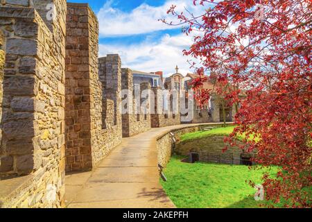 Ghent, Belgio, cortile interno del Castello di Gravensteen o Castello dei Conti, alberi da molla contro nuvoloso cielo blu Foto Stock