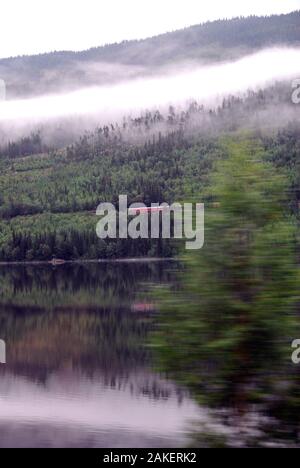 Norvegia, coyntryside da Oslo a Bergen 01 Foto Stock