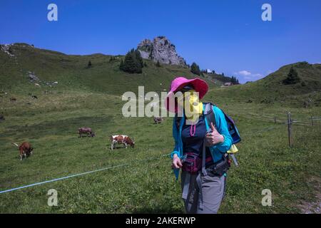 Un turista cinese si copre la faccia a tenere in ombra durante la deambulazione passato una mandria di mucche intorno Schynige Platte, Interlaken. Svizzera Foto Stock