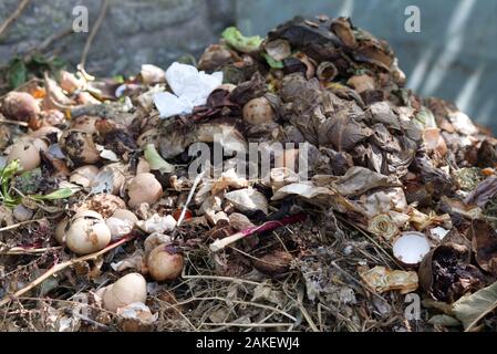 Teabags e guscio d'uovo compostaggio Foto Stock