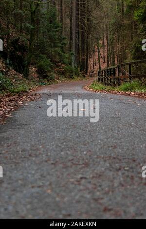 Wanderweg Lichtenhainer im Wald Foto Stock