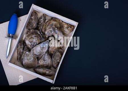 Scatola di legno di Ostriche fresche con uno speciale coltello su sfondo scuro. Piatti a base di frutti di mare freschi. Foto Stock