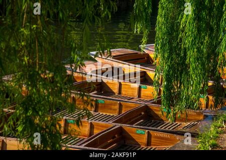 Regno Unito, Inghilterra, Cambridgeshire, Cambridge, fiume Cam e il Mulino di stagno, Punting Foto Stock