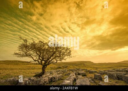 Cielo sgombro Foto Stock