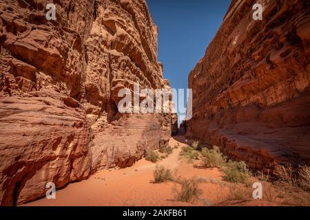 Abu Khashaba siq a Wadi Rum desert in Giordania Foto Stock