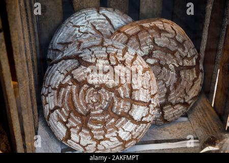 Appena sfornato tedesco tradizionale pasta madre pane di segale con polpettine rotonde per la vendita al mercato di Rothenburg ob der Tauber, Baviera, Germania, Europa Foto Stock