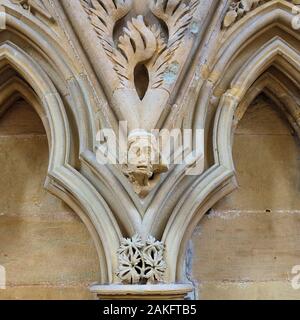 Xiii secolo sculture in pietra intorno le sedi nella Chapter House di Southwell Minster, Nottinghamshire Foto Stock