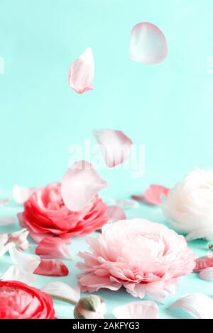 Fiori di colore rosa e petali su uno sfondo verde chiaro lo spazio di copia Foto Stock