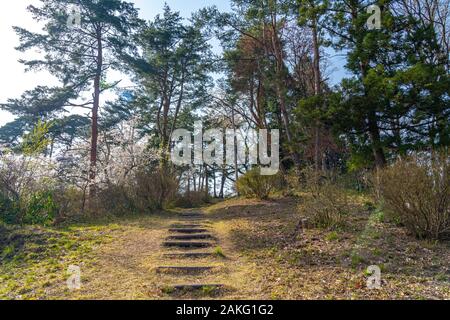 Folklore Michinoku villaggio nella stagione primaverile giornata di sole. Kitakami Tenshochi Park Cherry Blossoms Matsuri festival. Kitakami, nella prefettura di Iwate, Giappone Foto Stock