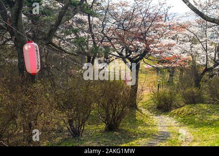 Folklore Michinoku villaggio nella stagione primaverile giornata di sole. Kitakami Tenshochi Park Cherry Blossoms Matsuri festival. Kitakami, nella prefettura di Iwate, Giappone Foto Stock