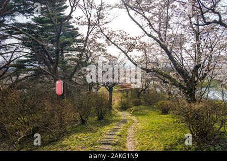 Folklore Michinoku villaggio nella stagione primaverile giornata di sole. Kitakami Tenshochi Park Cherry Blossoms Matsuri festival. Kitakami, nella prefettura di Iwate, Giappone Foto Stock