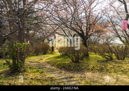Folklore Michinoku villaggio nella stagione primaverile giornata di sole. Kitakami Tenshochi Park Cherry Blossoms Matsuri festival. Kitakami, nella prefettura di Iwate, Giappone Foto Stock