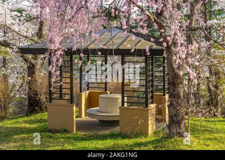 Folklore Michinoku villaggio nella stagione primaverile giornata di sole. Kitakami Tenshochi Park Cherry Blossoms Matsuri festival. Kitakami, nella prefettura di Iwate, Giappone Foto Stock