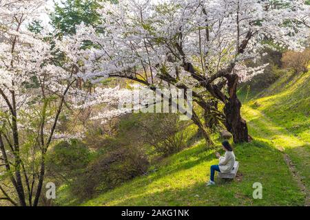 Folklore Michinoku villaggio nella stagione primaverile giornata di sole. Kitakami Tenshochi Park Cherry Blossoms Matsuri festival. Kitakami, nella prefettura di Iwate, Giappone Foto Stock