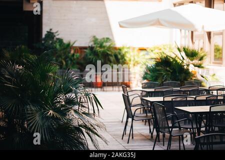 Sedie vuote e le tabelle sotto un ombrellone con piante e palme in un cafe Ambiente per gli studenti universitari e i partecipanti del congresso in la leona Foto Stock