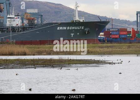 RSPB WOW Belfast Harbour, Belfast, Irlanda del Nord. 09 gennaio 2020. Tempo del Regno Unito - una giornata fresca con poco vento e temperature intorno a sei gradi a Belfast. Asciutto ma grigio e una minaccia di sole. Calmati al finestrino RSPB Belfast sulla riserva naturale Wildlife Nature Reserve, mentre l'affollato porto di Belfast si allontana sullo sfondo della Cave Hill. Credit: David Hunter/Alamy Live News. Foto Stock