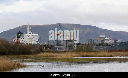 RSPB WOW Belfast Harbour, Belfast, Irlanda del Nord. 09 gennaio 2020. Tempo del Regno Unito - una giornata fresca con poco vento e temperature intorno a sei gradi a Belfast. Asciutto ma grigio e una minaccia di sole. Calmati al finestrino RSPB Belfast sulla riserva naturale Wildlife Nature Reserve, mentre l'affollato porto di Belfast si allontana sullo sfondo della Cave Hill. Credit: David Hunter/Alamy Live News. Foto Stock