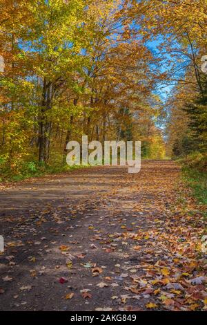 Una strada forestale in una bella giornata d'autunno in Wisconsin settentrionale. Foto Stock