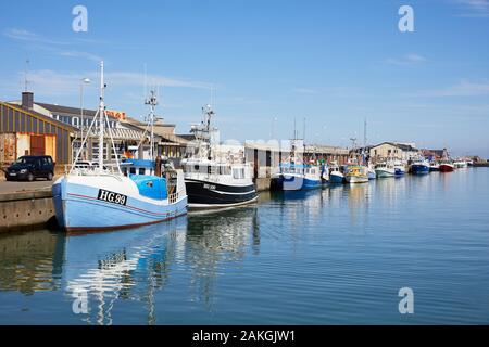 Barche da pesca nel porto di Hirtshals; Danimarca Foto Stock