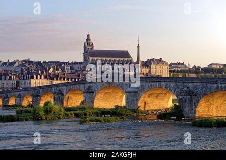Francia, Loir et Cher, Valle della Loira sono classificati come patrimonio mondiale dall' UNESCO, Blois, Pont Jacques Gabriel, ponte sul fiume Loira e St Louis cathedral Foto Stock