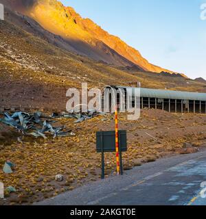 Argentina, Mendoza, Vicente Lezea, basco di immigrati di creare una società di trasporto che attraversa la cordigliera andina per il trasporto delle banane provenienti dal Cile Foto Stock