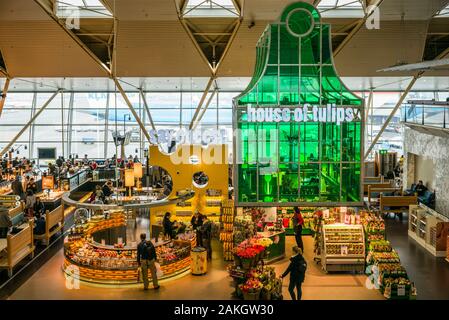 Paesi Bassi, Amsterdam, all'aeroporto di Schiphol, vista in elevazione del terminal internazionale foodcourt Foto Stock
