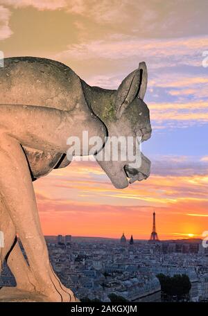 Francia, Parigi, zona elencata come patrimonio mondiale dall' UNESCO, chimera delle torri della cattedrale di Notre Dame Foto Stock