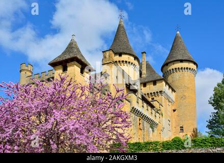 Francia, Dordogne, Perigord Noir, Valle della Dordogna, Marquay, Chateau de Puymartin, ricostruito dopo i cento anni di guerra Foto Stock