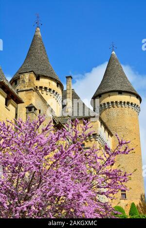 Francia, Dordogne, Perigord Noir, Valle della Dordogna, Marquay, Chateau de Puymartin, ricostruito dopo i cento anni di guerra Foto Stock