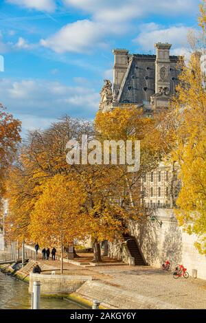 Francia, Parigi, zona elencata come patrimonio mondiale dall' UNESCO, le rive della Senna le banchine del Louvre in autunno Foto Stock