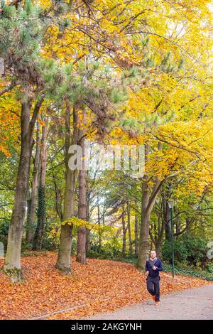 Francia, Parigi, Georges Brassens parco in autunno Foto Stock