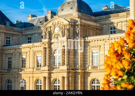 Francia, Parigi, dal giardino del Lussemburgo in autunno, il Palazzo del Senato Foto Stock