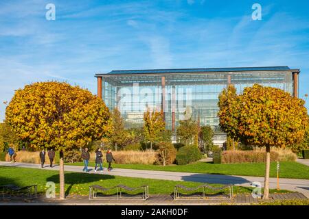 Francia, Paris, Parc d'Andre Citroën in autunno, la Serra del clima mediterraneo delle zone del sud Foto Stock