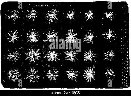 Scientific American Volume 59 Numero 23 (Dicembre 1888) . Fatont MU Honaicl Mblier Beltiig. •I* xsj- rxxz: ttvt-ozixjX). Specialmente adattato per cartiere, segherie e ovunque aBELT di inusitata robustezza è richiesto. La GUTTA PERCA E GOMMA MFG. CO. Nen York, Cblcago, San Francisco, Boston, Nas. La copia di pad.-come fare e come utilizzare; con una incisione. Directionshow pratico per preparare la gelatina pad, e anche il aniiineinkby cui vengono fatte le copie; come applicare la writtenletter al pad; come prendere le copie della lettera.contenute in Scientific American Suppi.attrezzo, Foto Stock