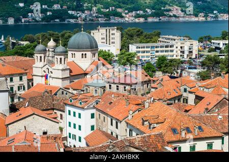 Vista aerea di Kotor Città Vecchia e la chiesa di San Nicola, Sito Patrimonio Mondiale dell'Unesco, Kotor, Montenegro Foto Stock