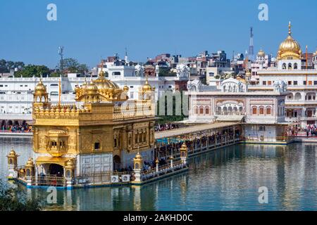 Harmandir Sahib, conosciuto anche come Tempio d'oro, il più importante luogo di pellegrinaggio del sikhismo, di Amritsar, Punjab (India). Foto Stock