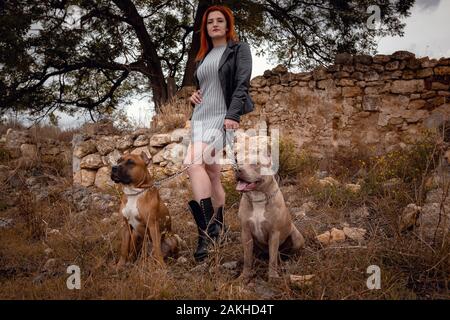 Bella giovane donna in una giacca di pelle e stivali pesanti passeggiando con due belle American Staffordshire pit tori in rigorosa dei collarini Foto Stock