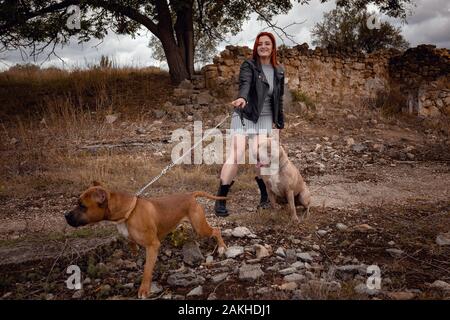Bella giovane donna in una giacca di pelle e stivali pesanti passeggiando con due belle American Staffordshire pit tori in rigorosa dei collarini Foto Stock