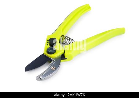 Studio shot di potatura giardino secateurs isolato su uno sfondo bianco - Giovanni Gollop Foto Stock