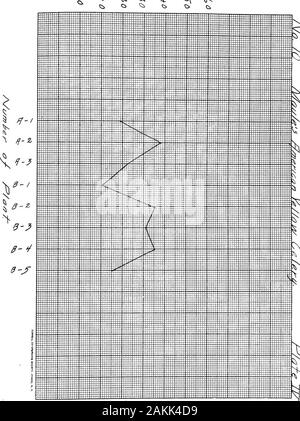 Esperimenti di infezione con Septoria petroselini varapii causando late blight di sedano . Ni/mh^r ^// ^^T^J /^^ Sf.j7^^:^ ^ ^ ^ Ci. Ncfrr^i^^r ^/^/^T^-^/-^-^/-^^^^- Foto Stock