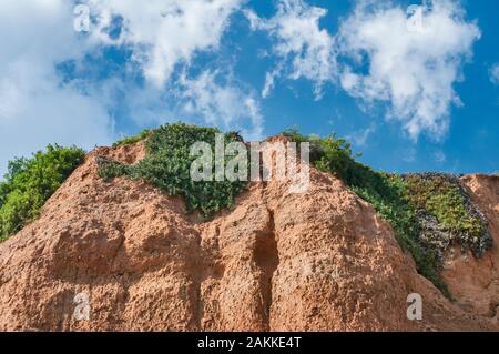 Effetti del mare erosione costiera con suolo argilloso Foto Stock